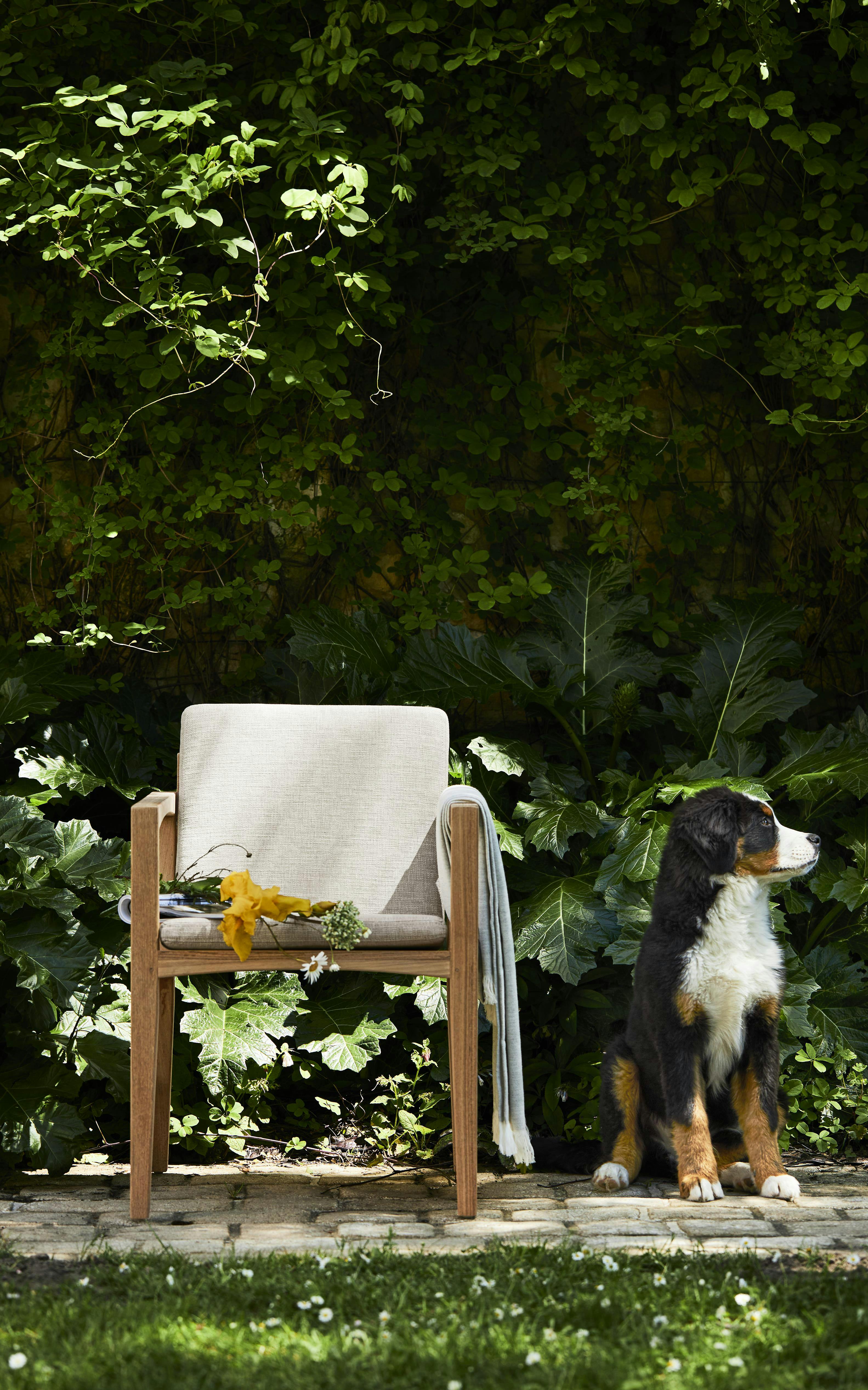 Royal Botania Zenhit Dining Chair Teak