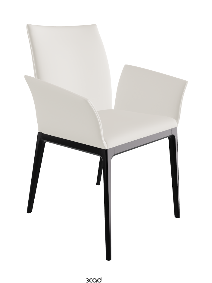 Arcadia Dining Armchair_Matt Black_Glove Soft Leather_Dover