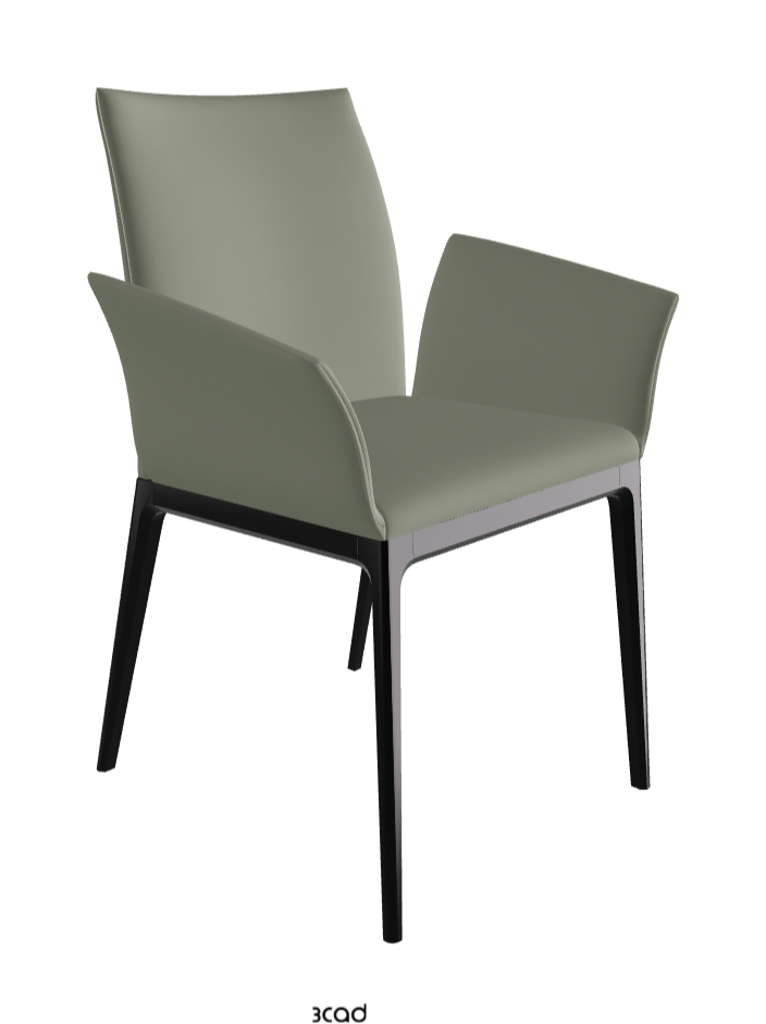 Arcadia Dining Armchair_Matt Black_Soft Leather_Cenere