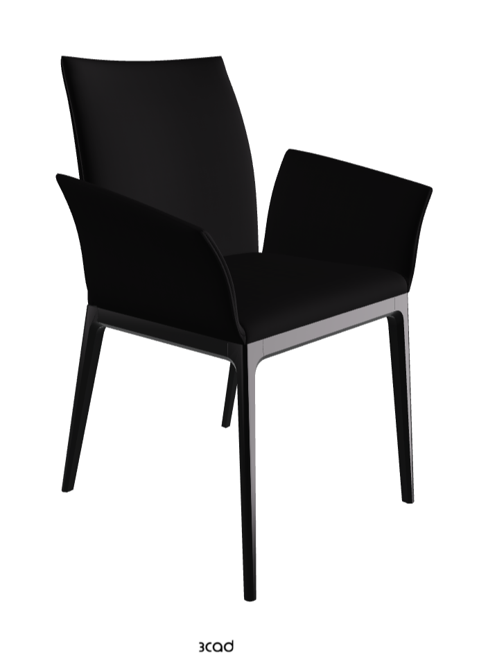 Arcadia Dining Armchair_Matt Black_Soft Leather_Nero