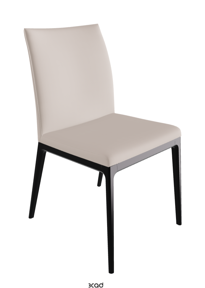 Arcadia Dining Chair_Matt Black_Soft Leather_Nymph