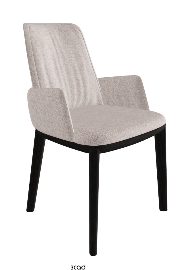 Belinda Dining Armchair_Open Pore Matt Black Ashwood_Fabric_B242
