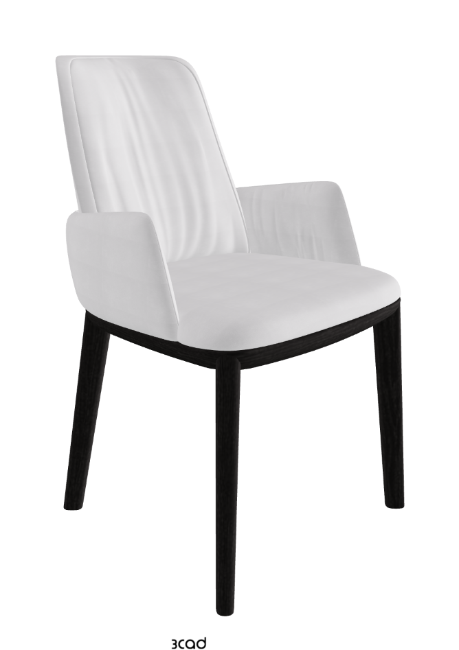Belinda Dining Armchair_Open Pore Matt Black Ashwood_Fabric_B921