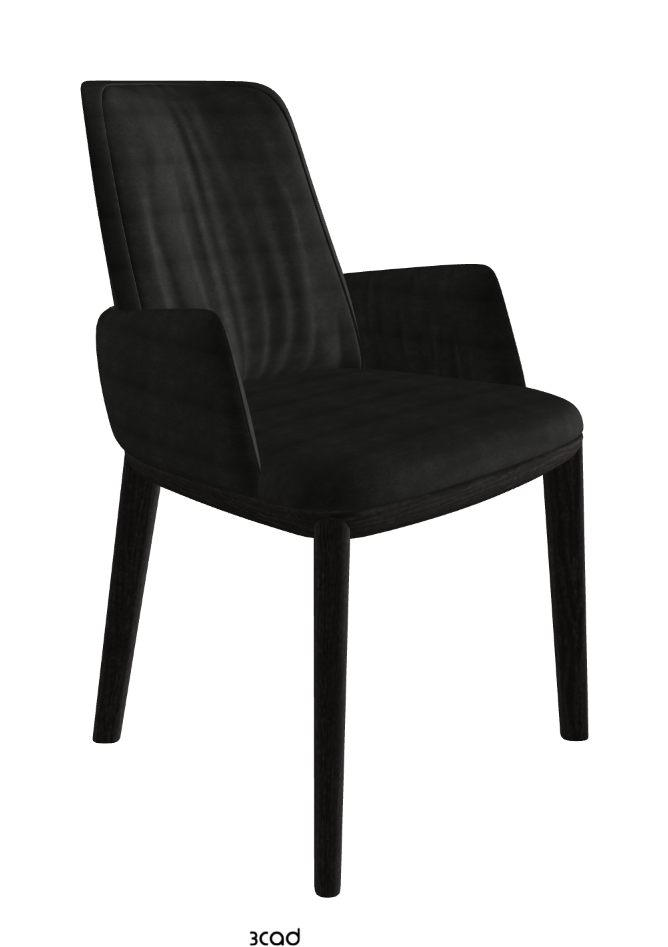 Belinda Dining Armchair_Open Pore Matt Black Ashwood_Fabric_B932