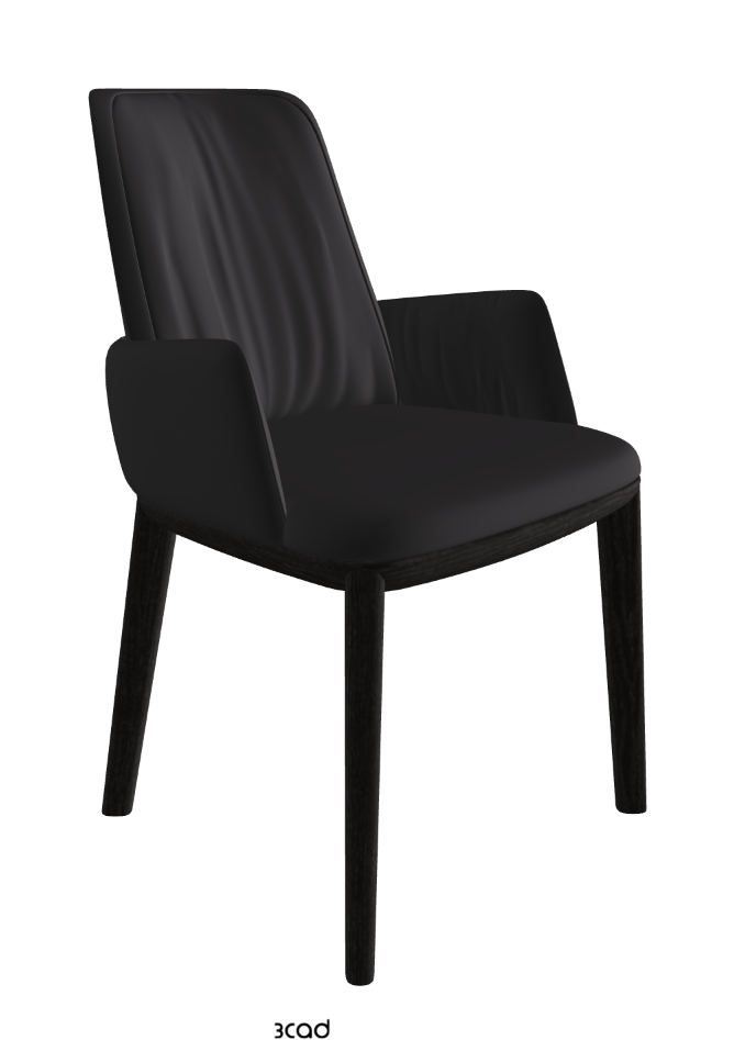 Belinda Dining Armchair_Open Pore Matt Black Ashwood_Glove Soft Leather_Hornet