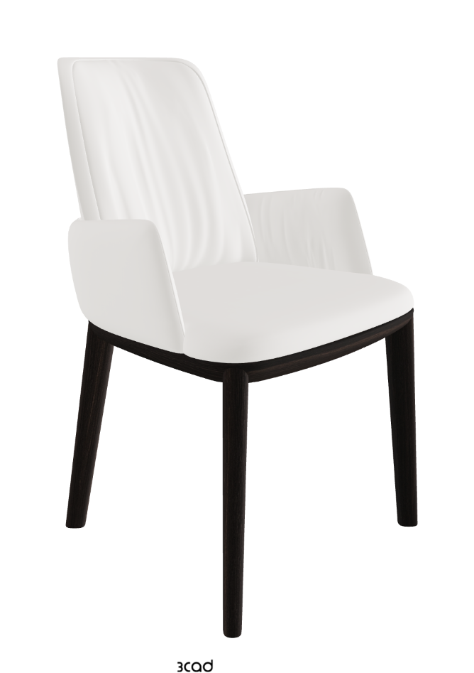 Belinda Dining Armchair_Burned Oak Stained Ashwood_Soft Leather_Palladio