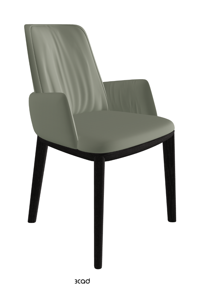 Belinda Dining Armchair_Open Pore Matt Black Ashwood_Soft Leather_Cenere