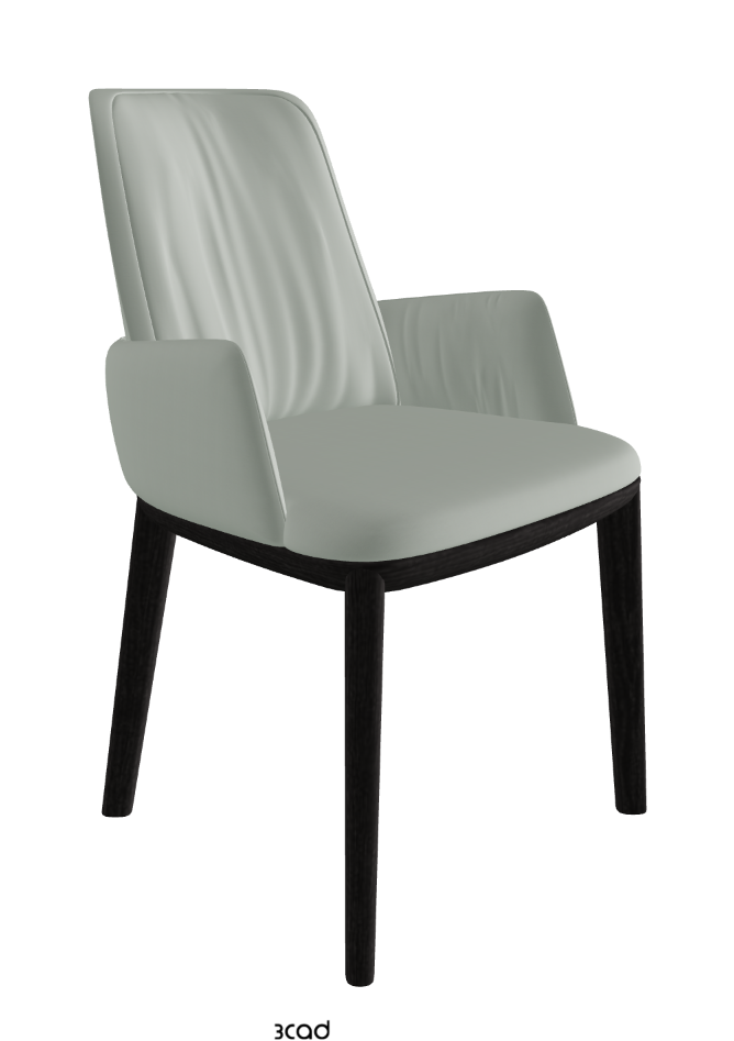 Belinda Dining Armchair_Open Pore Matt Black Ashwood_Soft Leather_Ice