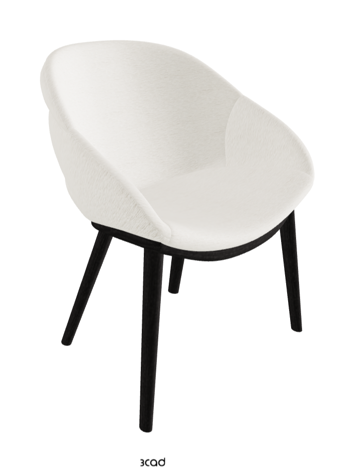 Camilla Dining Armchair_Open Pore Matt Black Ashwood_Fabric_B240