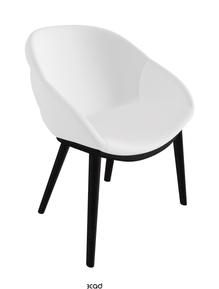 Camilla Dining Armchair_Open Pore Matt Black Ashwood_Fabric_B920