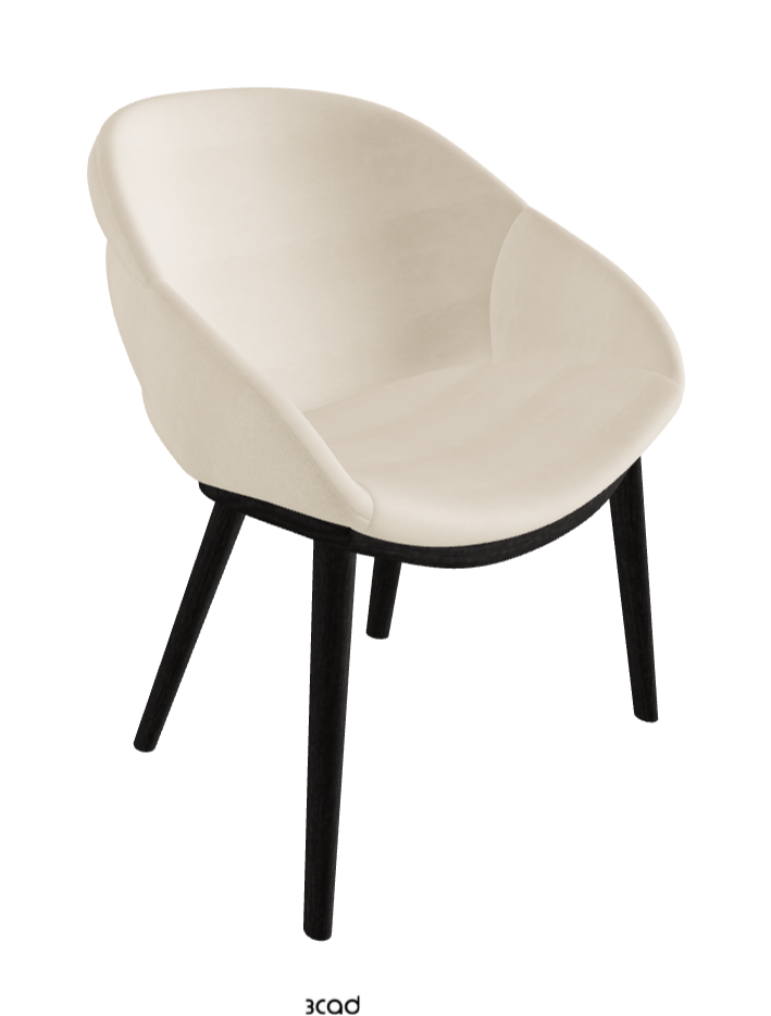 Camilla Dining Armchair_Open Pore Matt Black Ashwood_Fabric_B922
