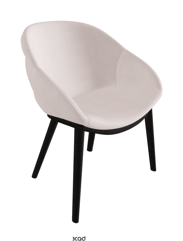 Camilla Dining Armchair_Open Pore Matt Black Ashwood_Fabric_B923