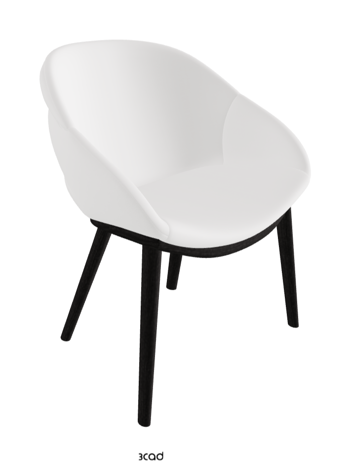 Camilla Dining Armchair_Open Pore Matt Black Ashwood_Synthetic Leather_Bianco