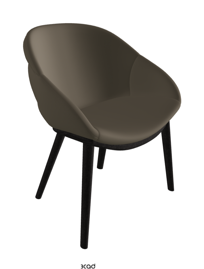 Camilla Dining Armchair_Open Pore Matt Black Ashwood_Synthetic Leather_Fango
