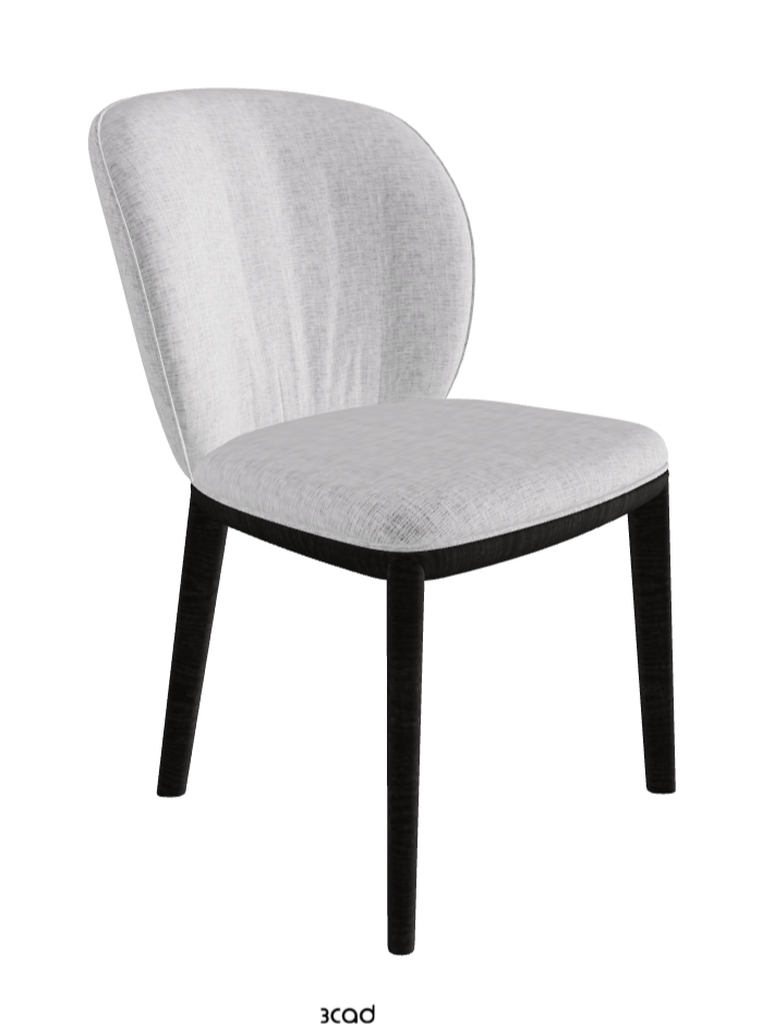 Chrishell Dining Chair_Open Pore Matt Black Ashwood_Fabric_B811