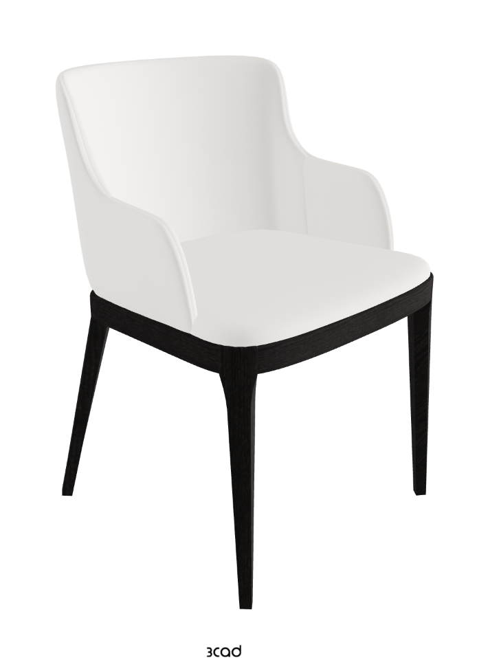 Magda Dining Armchair_Open Pore Matt Black Ashwood_Soft Leather_Palladio