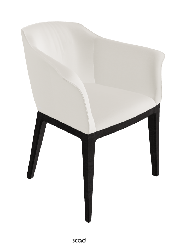 Musa Dining Armchair_Open Pore Matt Black Ashwood_Synthetic Leather_Lino