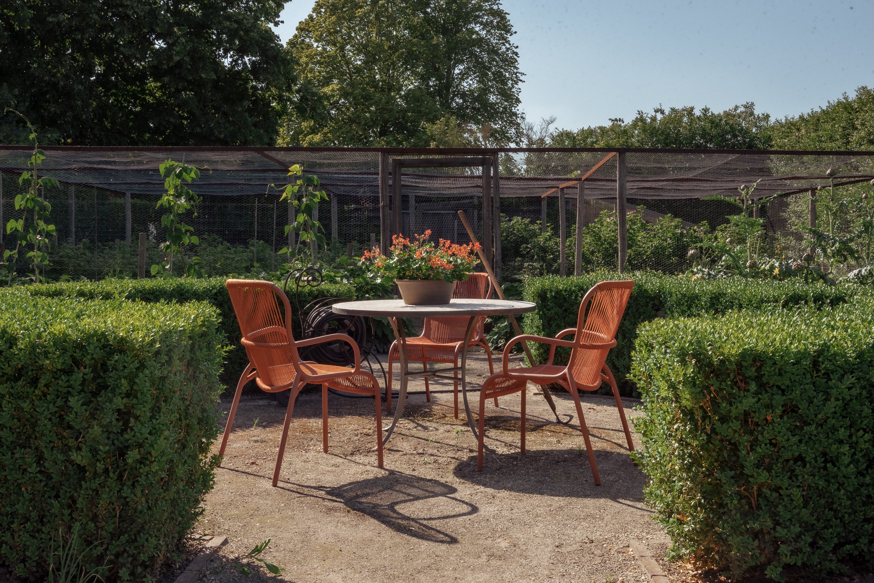 Vincent Sheppard Loop Dining Chair