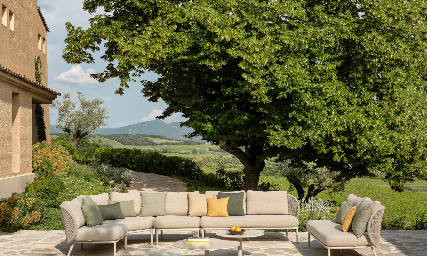 Vincent Sheppard Kodo Dining Chair