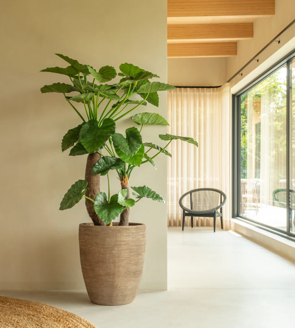 Vincent Sheppard Saya Pots