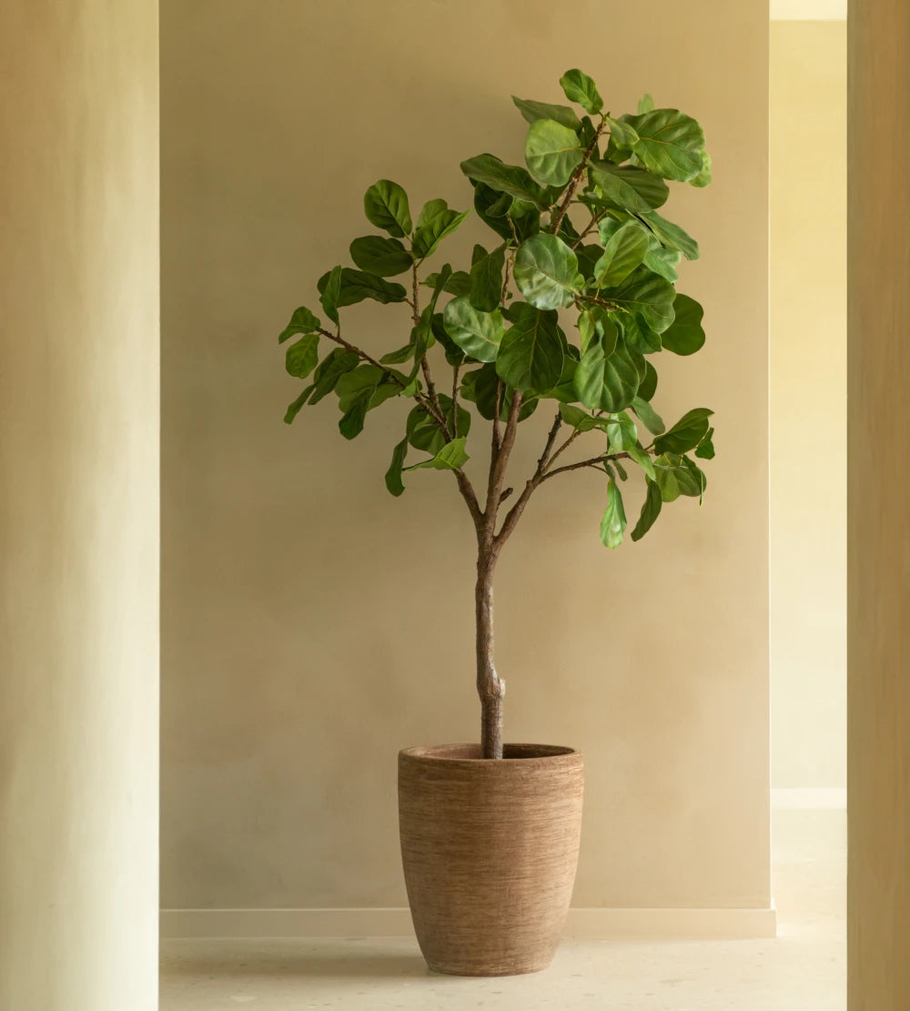 Vincent Sheppard Saya Pots