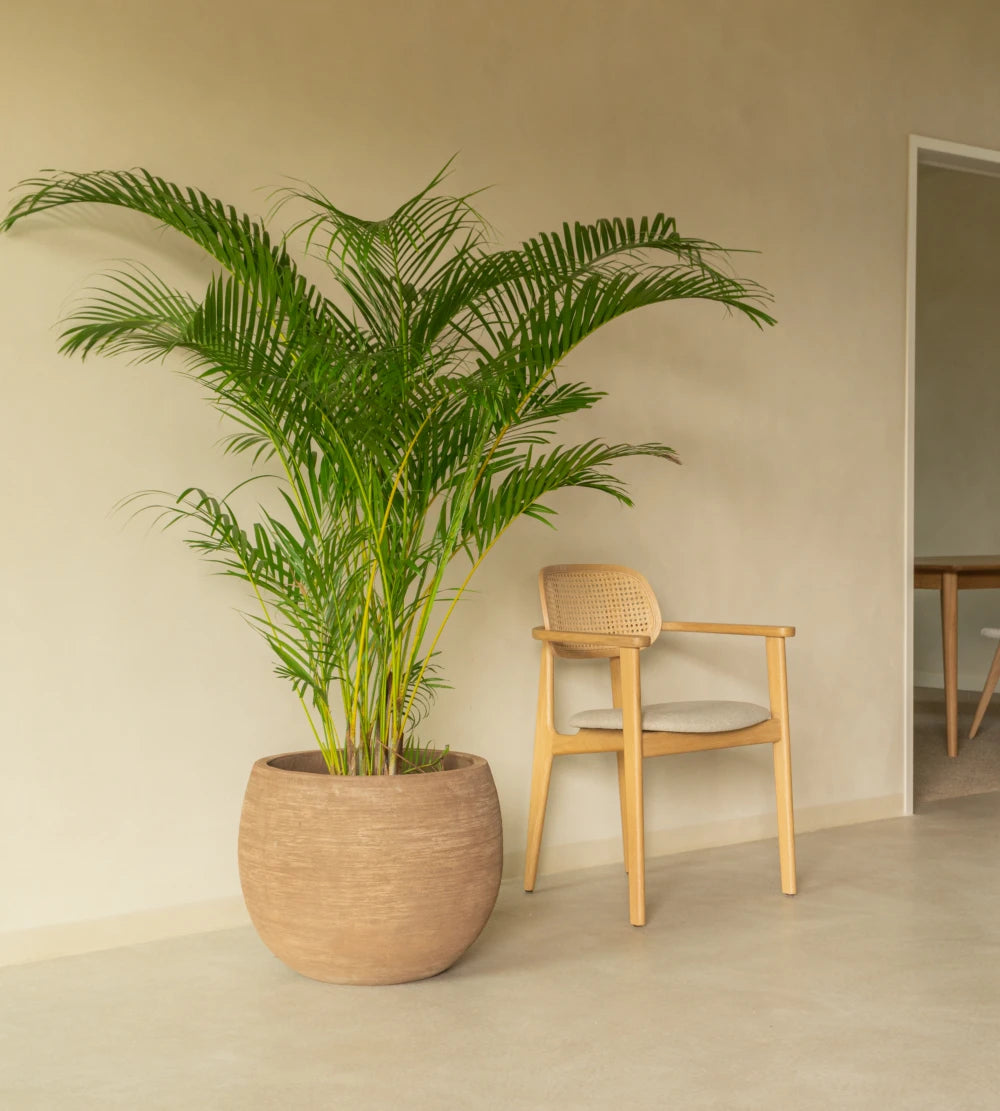 Vincent Sheppard Saya Pots