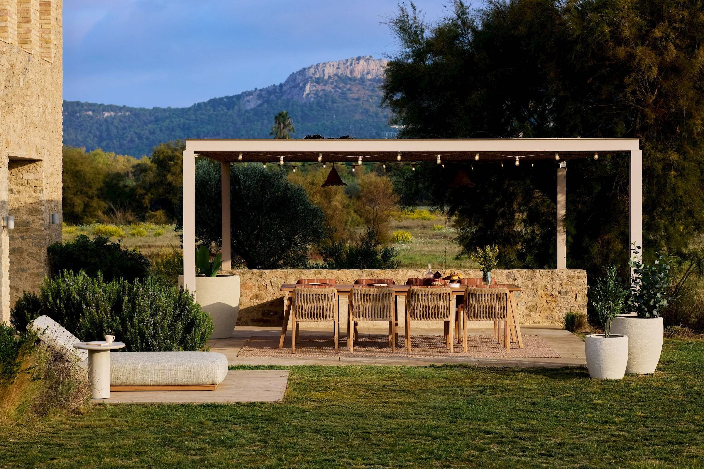 Jardinico | Kaia Dining Armchair