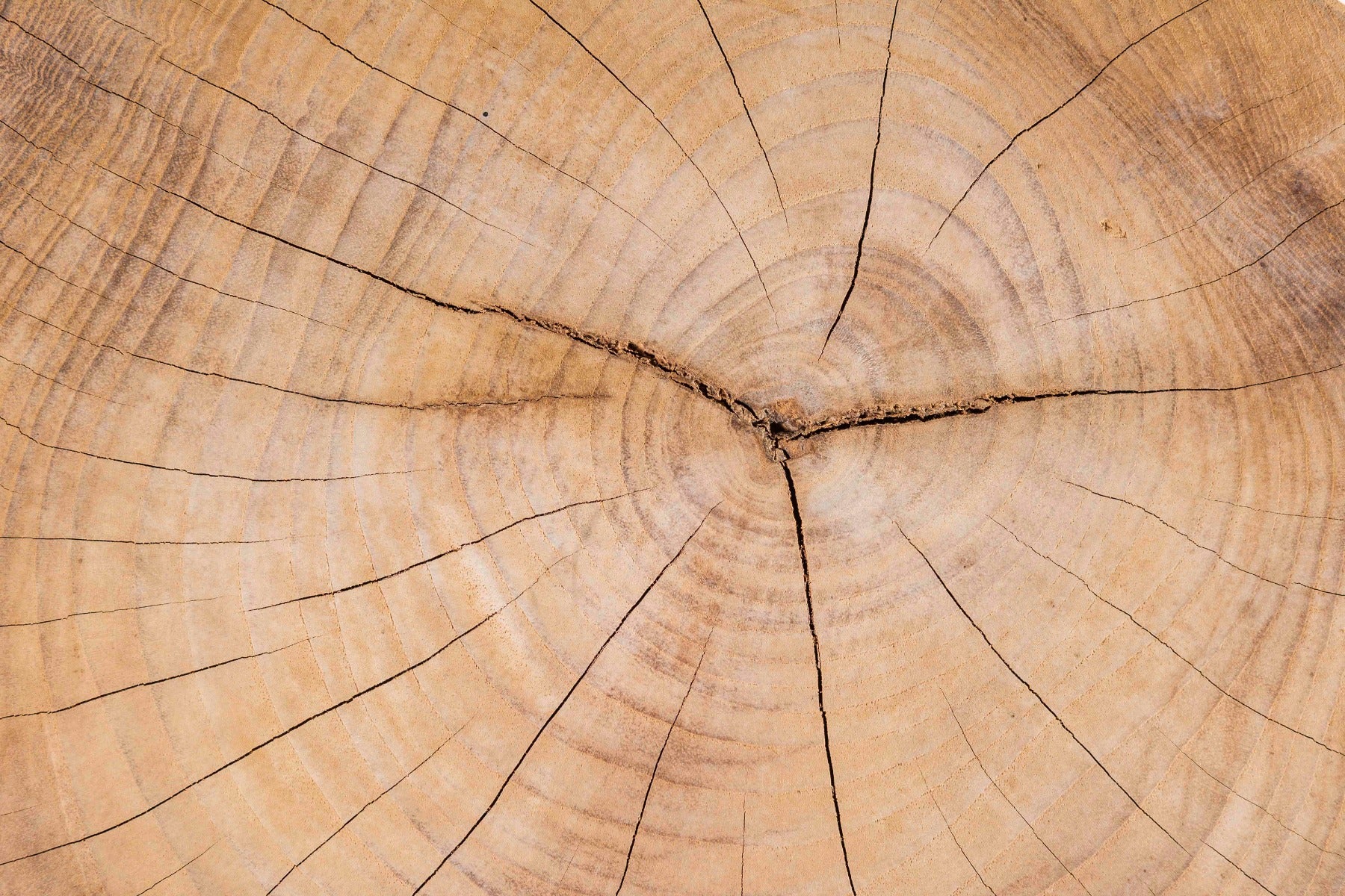 Jardinico | Nesting Tables Teak Block