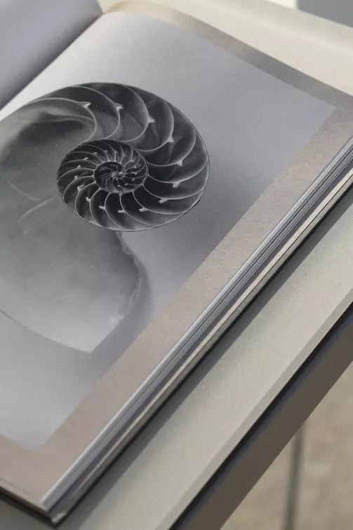 Manutti Trento Dining Table with 215 cm Width, 105 cm Depth & 75 cm Height