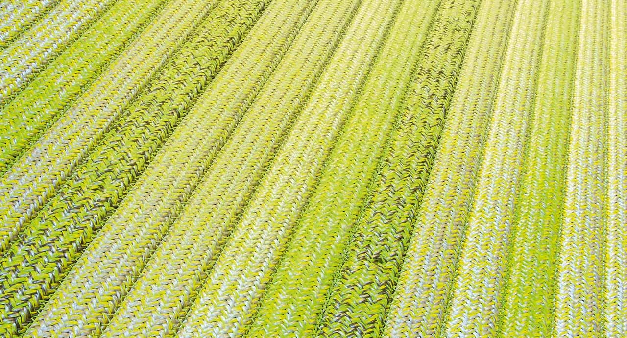 Paola Lenti Samo Modular Inoddr Outdoor Rug