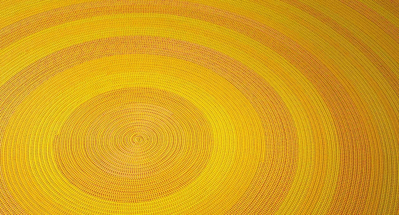 Paola Lenti Zoe Indoor Outdoor Rug