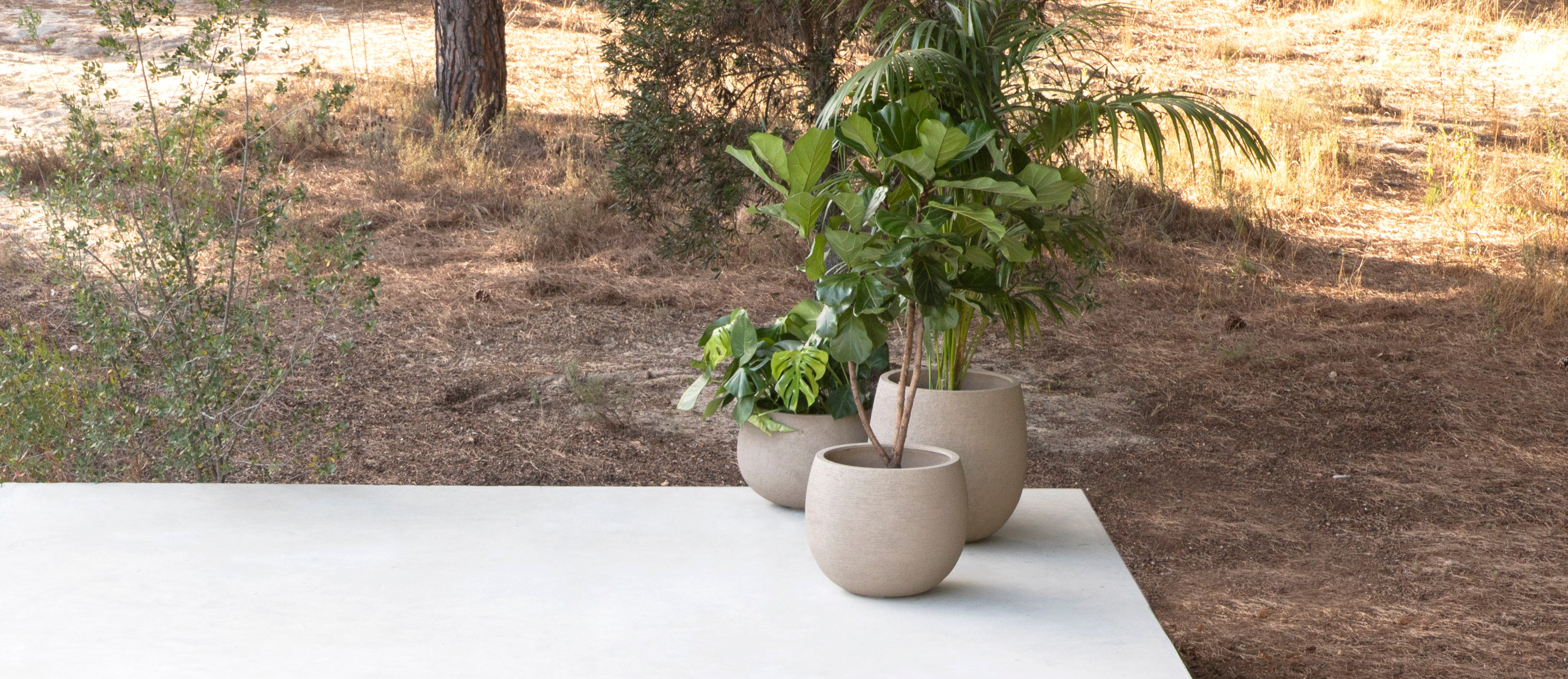 Jardinico Pots | Terra Balloon