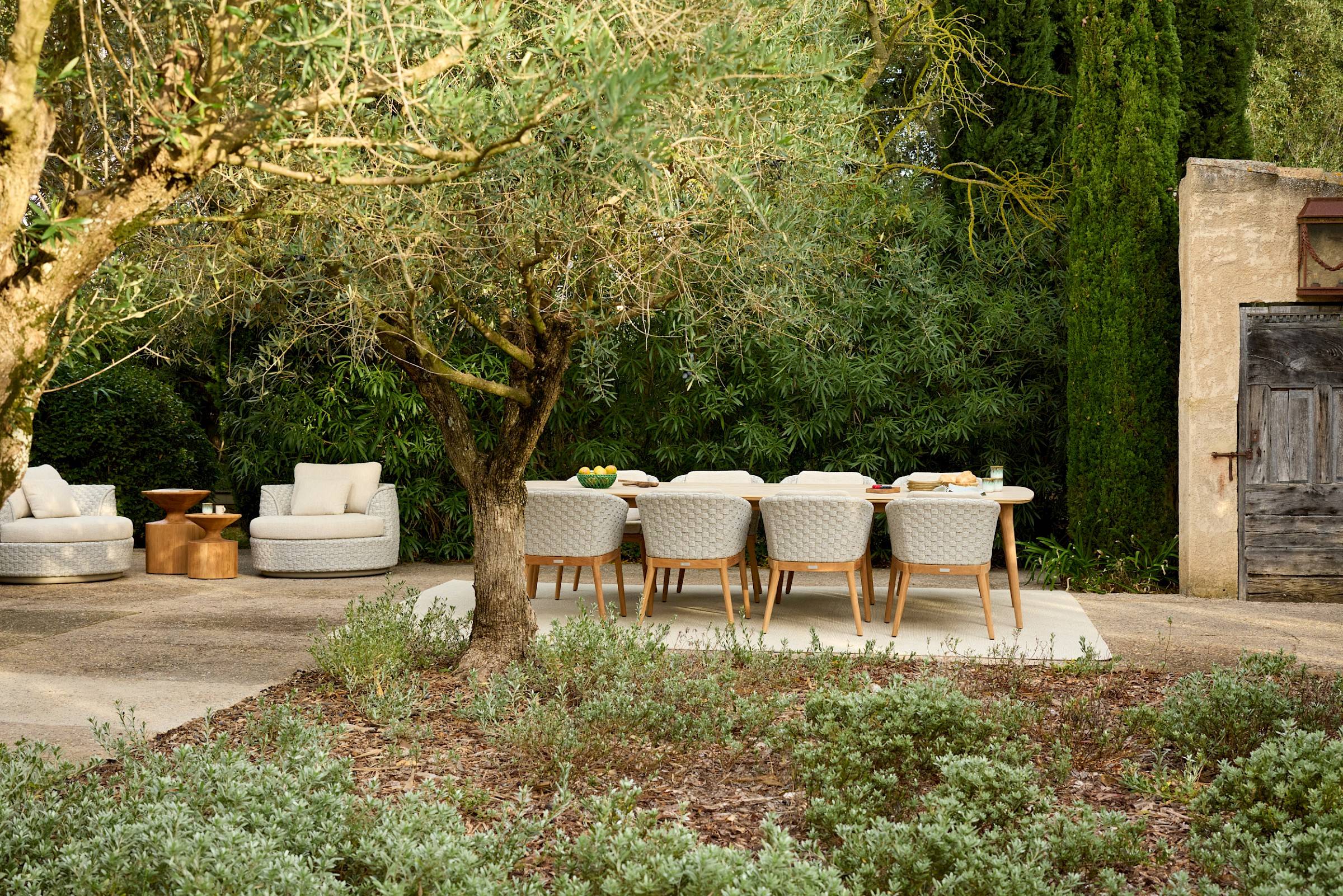 Jardinico Tondo Dining Armchair