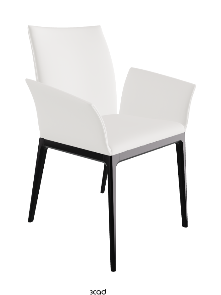 Arcadia Dining Armchair_Matt Black_Soft Leather_Palladio