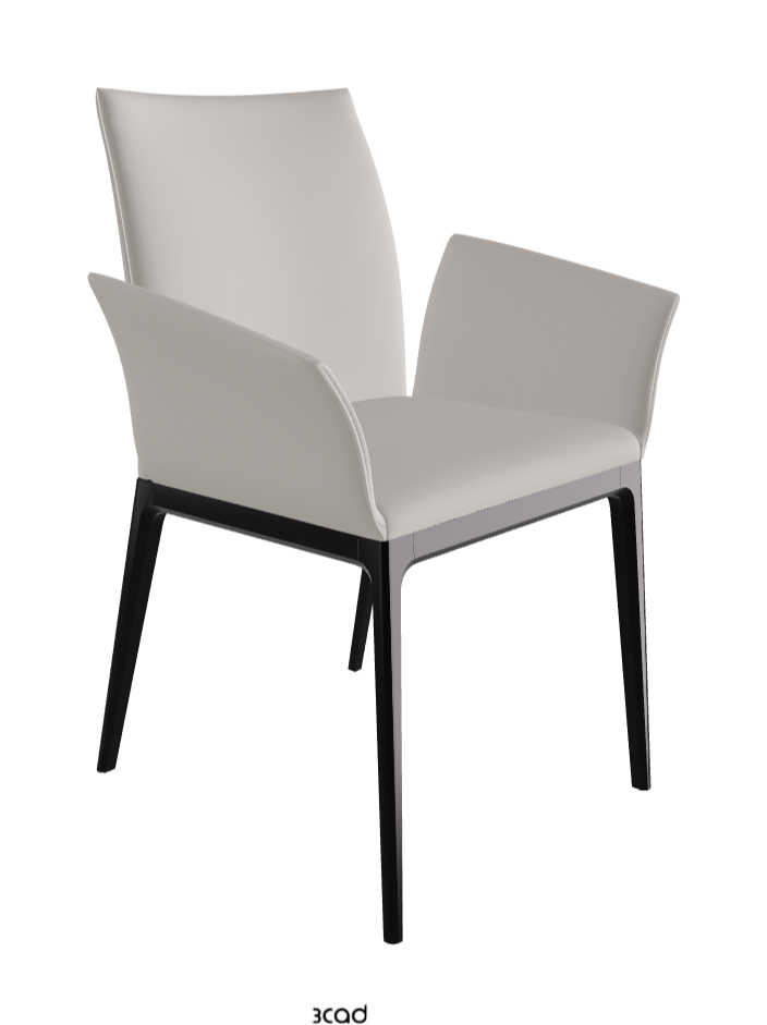 Arcadia Dining Armchair_Matt Black_Soft Leather_Dakota