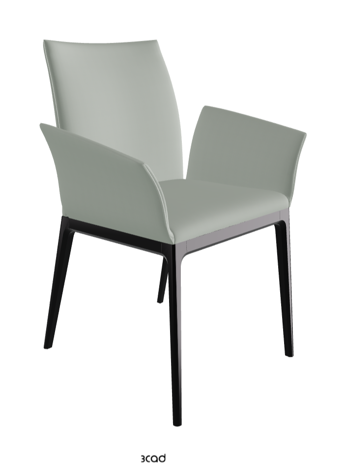 Arcadia Dining Armchair_Matt Black_Soft Leather_Ice
