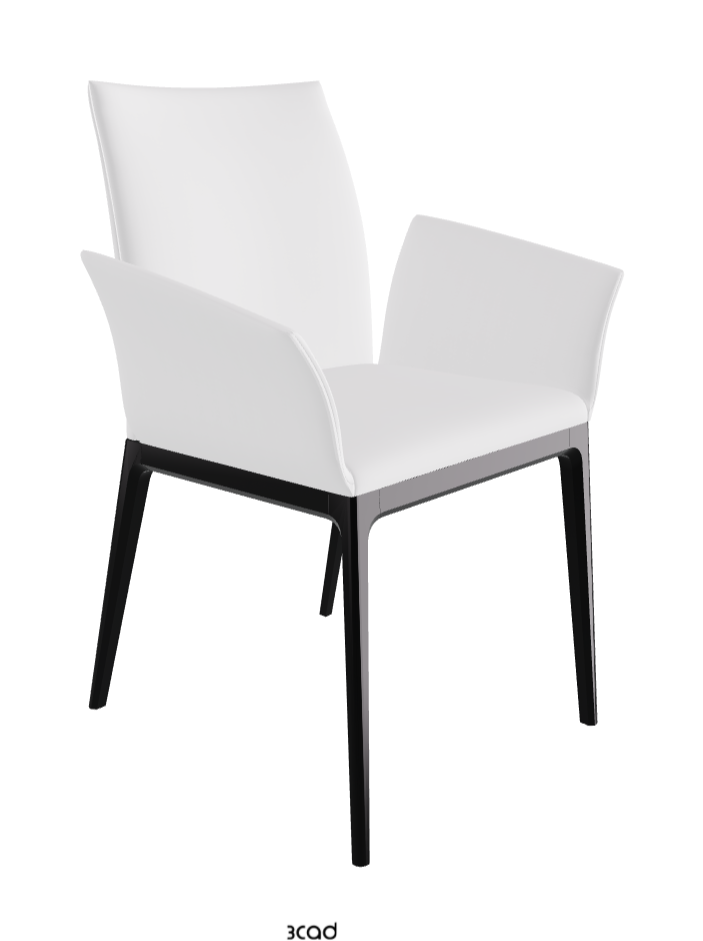 Arcadia Dining Armchair_Matt Black_Soft Leather_Bianco