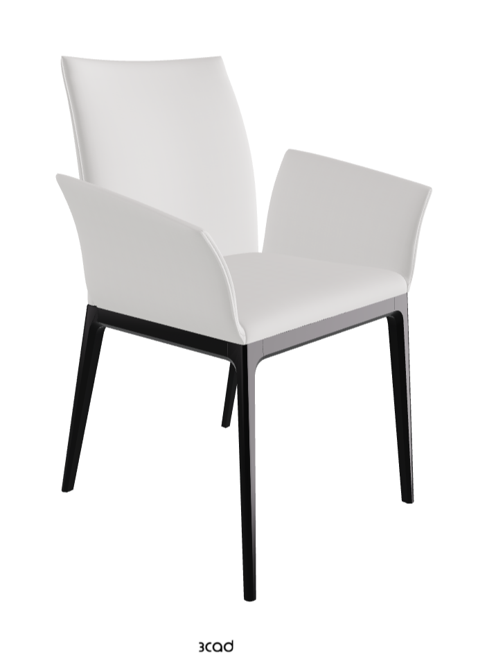 Arcadia Dining Armchair_Matt Black_Soft Leather_Canova