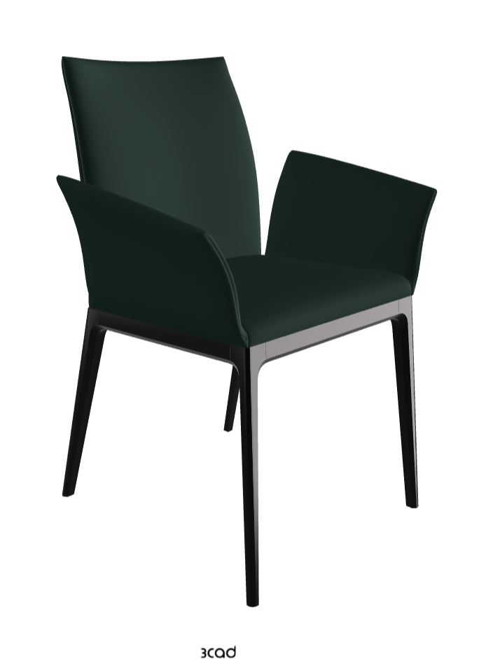 Arcadia Dining Armchair_Matt Black_Soft Leather_Sherwood
