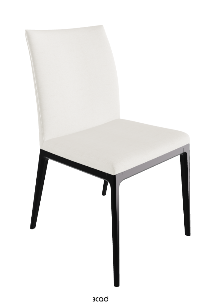 Arcadia Dining Chair_Matt Black_Fabric_B240