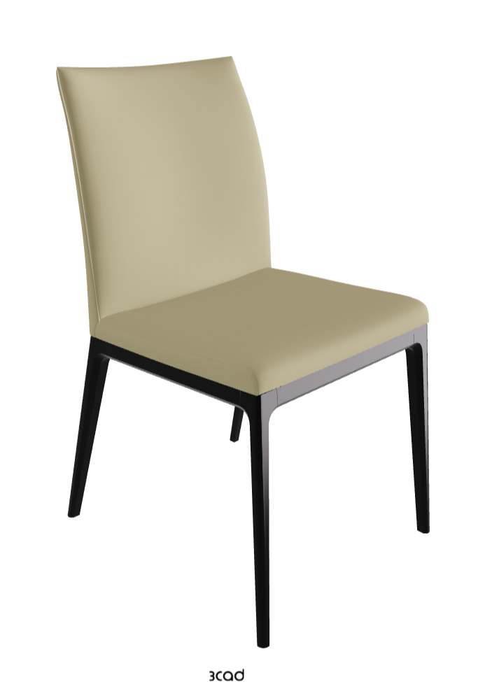 Arcadia Dining Chair_Matt Black_Synthetic Leather_Canapa