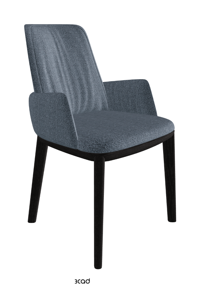 Belinda Dining Armchair_Open Pore Matt Black Ashwood_Fabric_B245