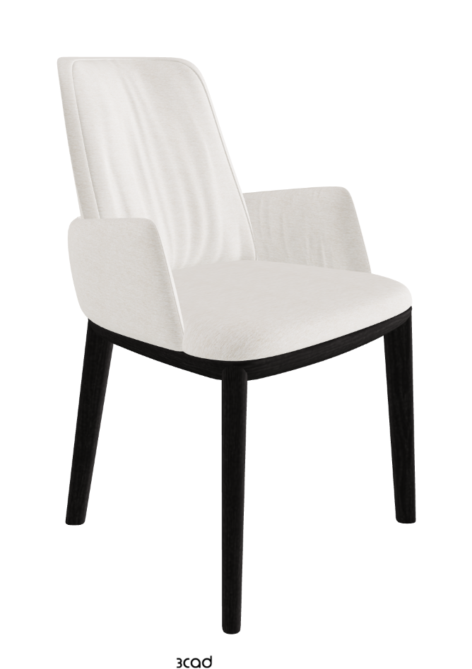 Belinda Dining Armchair_Open Pore Matt Black Ashwood_Fabric_B730