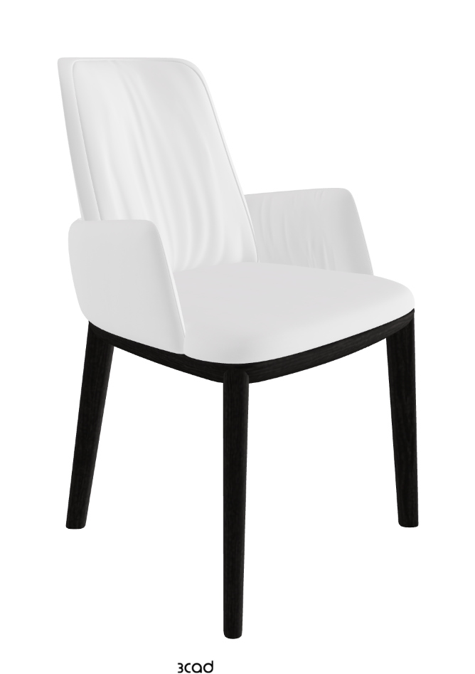 Belinda Dining Armchair_Open Pore Matt Black Ashwood_Fabric_B920