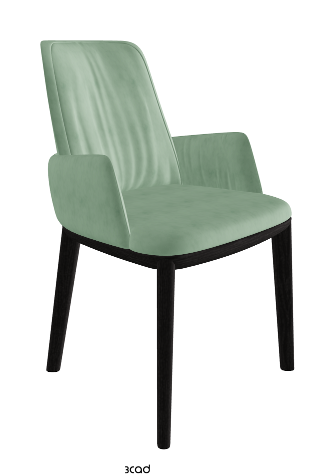 Belinda Dining Armchair_Open Pore Matt Black Ashwood_Micro Nubuk_Mint