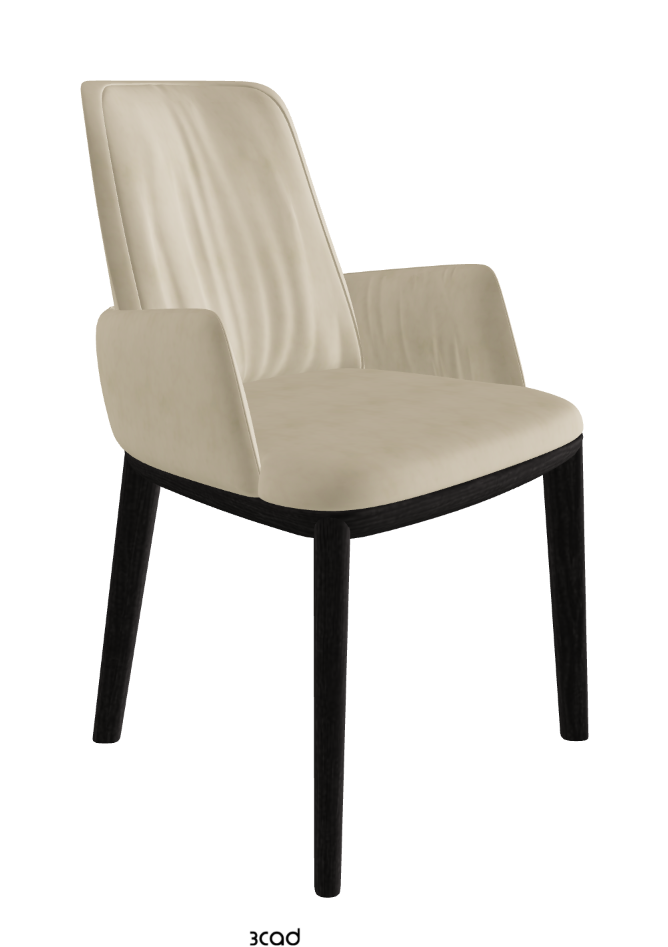 Belinda Dining Armchair_Open Pore Matt Black Ashwood_Micro Nubuk_Sand