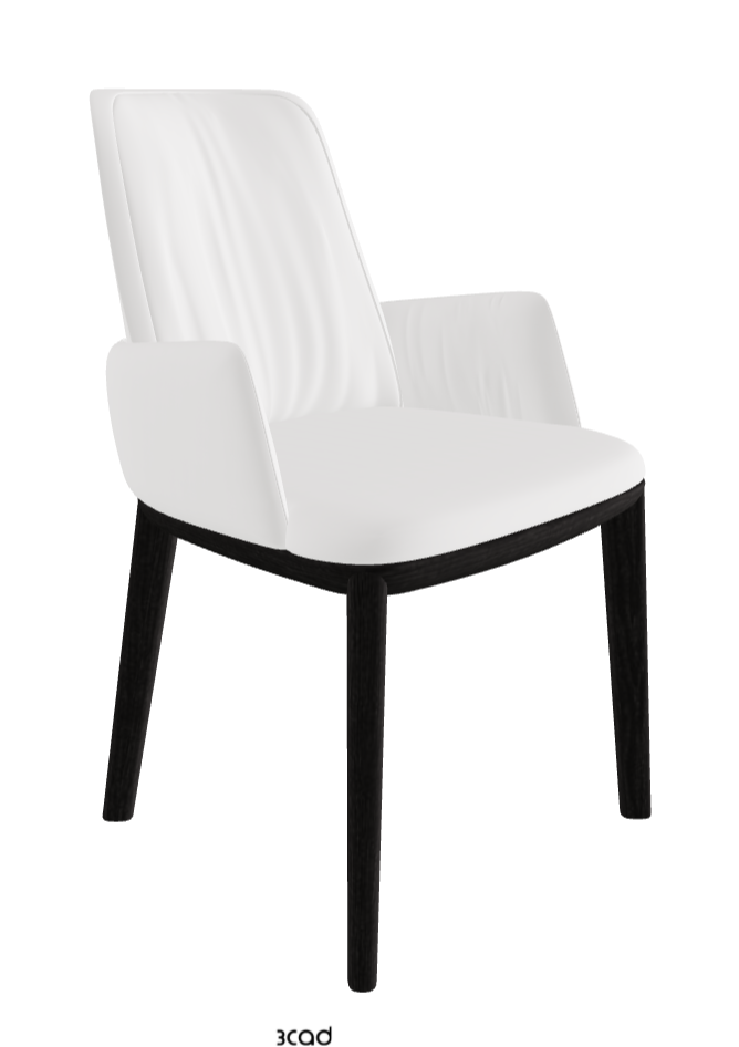 Belinda Dining Armchair_Open Pore Matt Black Ashwood_Synthetic Leather_Bianco