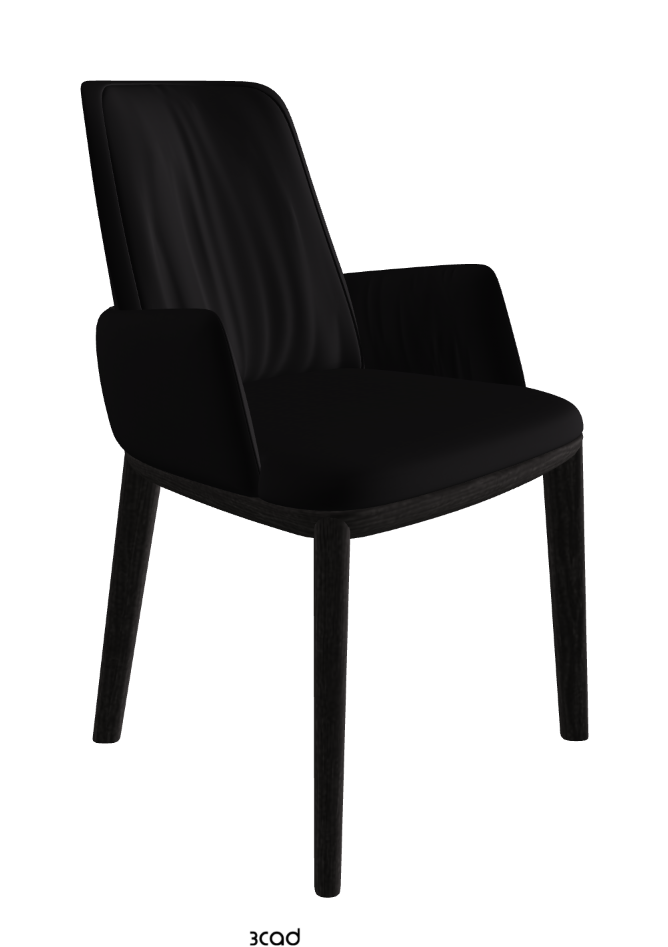 Belinda Dining Armchair_Open Pore Matt Black Ashwood_Synthetic Leather_Nero