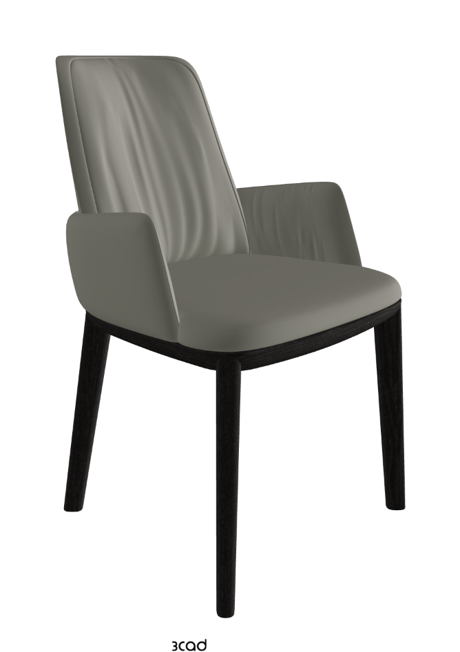Belinda Dining Armchair_Open Pore Matt Black Ashwood_Synthetic Leather_Cemento