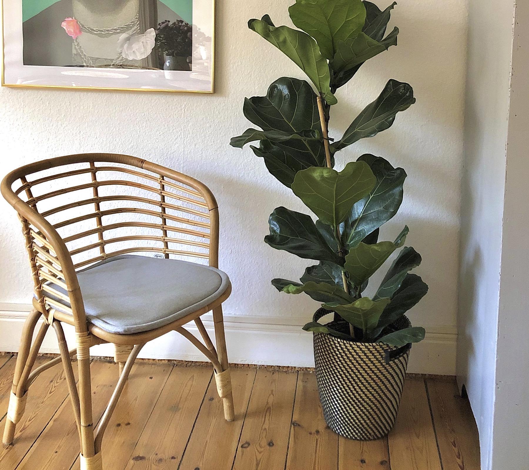 Cane-line Blend Indoor Chair
